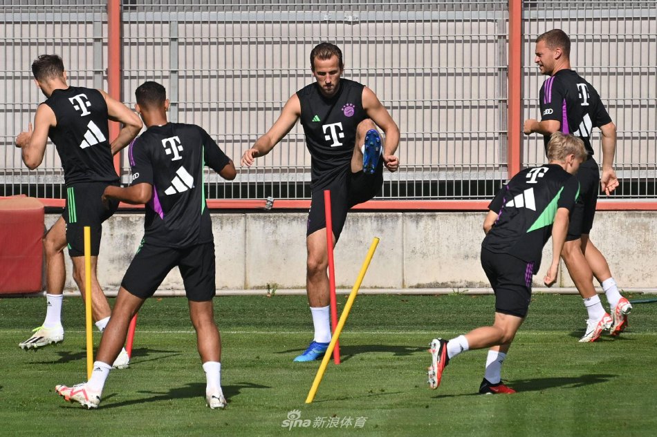 了强烈信号 了强烈信号